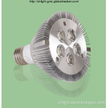 10W PAR30 Spotlight
